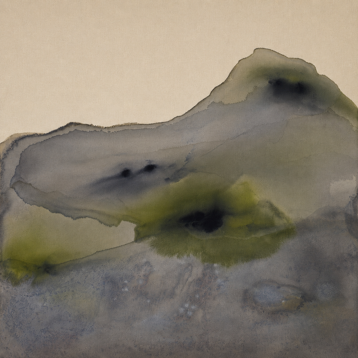 Rooted In Stone